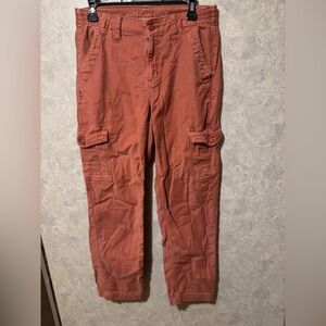 American Eagle Outfitters Stretch Cargo sienna Straight Pants 6